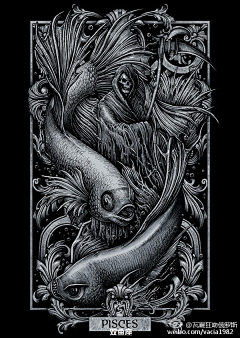 XjV66i6DMD采集到新插画