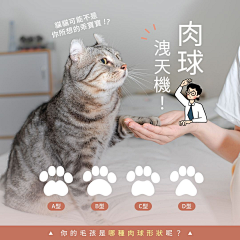 哈哈哈鹅鹅采集到产品-宠物参考