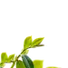 1629