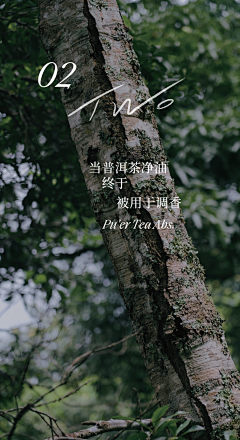 小海绵ling采集到背景