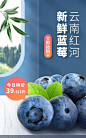 小程序商城水果蓝莓海报