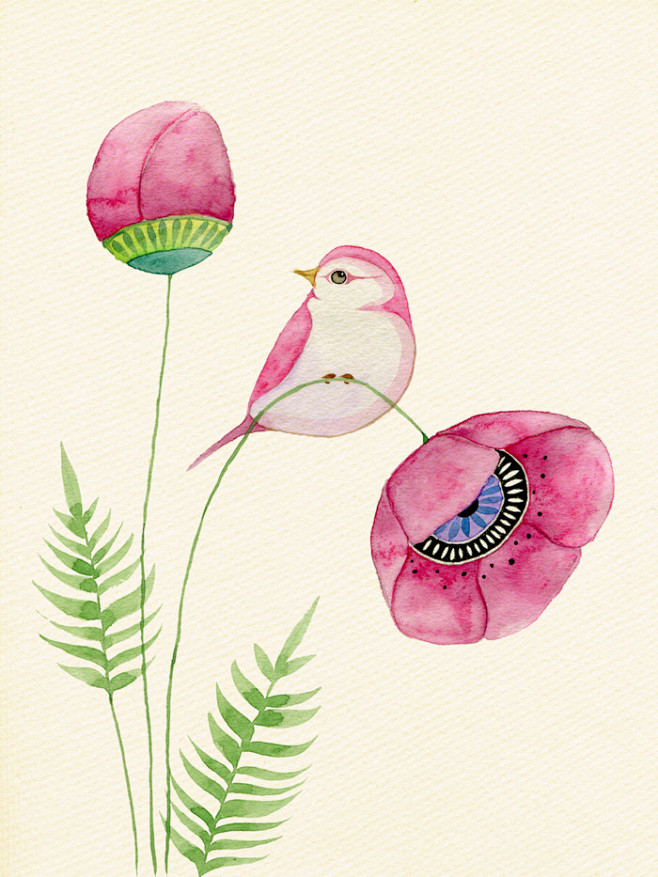 “鸟与花”水彩画--英国 插画师 Col...