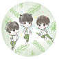 小精灵 TFBOYS