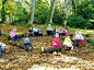 森林自然教育 森林公园:儿童自然教育的天然课堂