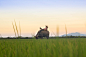 Photo by Kiril Dobrev on Unsplash : Download this photo by Kiril Dobrev on Unsplash