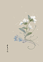 五月份的生日花1~16号-artistic青尘_artistic青尘,生日花,唯美,小清新_涂鸦王国插画