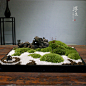 微景观茶室苔盆景 苔藓植物枯山水文人雅玩 盆景礼物样板房玄关-淘宝网