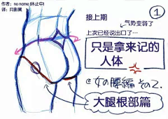 AmmY-采集到人体&骨骼&肌肉