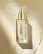 Marketplace : LOOKBOOKS.com is the Technology behind the Talent. Discover, follow, share. 