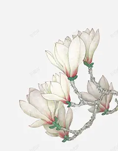 花枝 创意素材