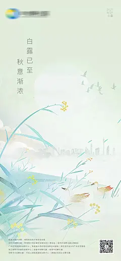 白露节气海报-设计素材-shejisc.cn