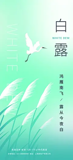 创意白露节气海报设计