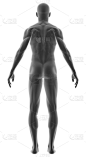 男人,手臂,白色背景,生理学,背景分离,脖子,生活方式,学习