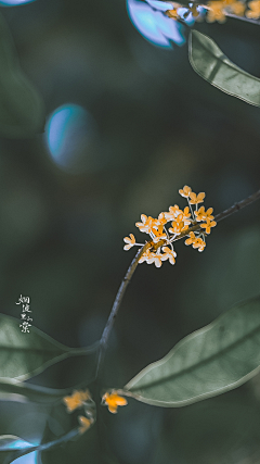 我们是同学采集到背景