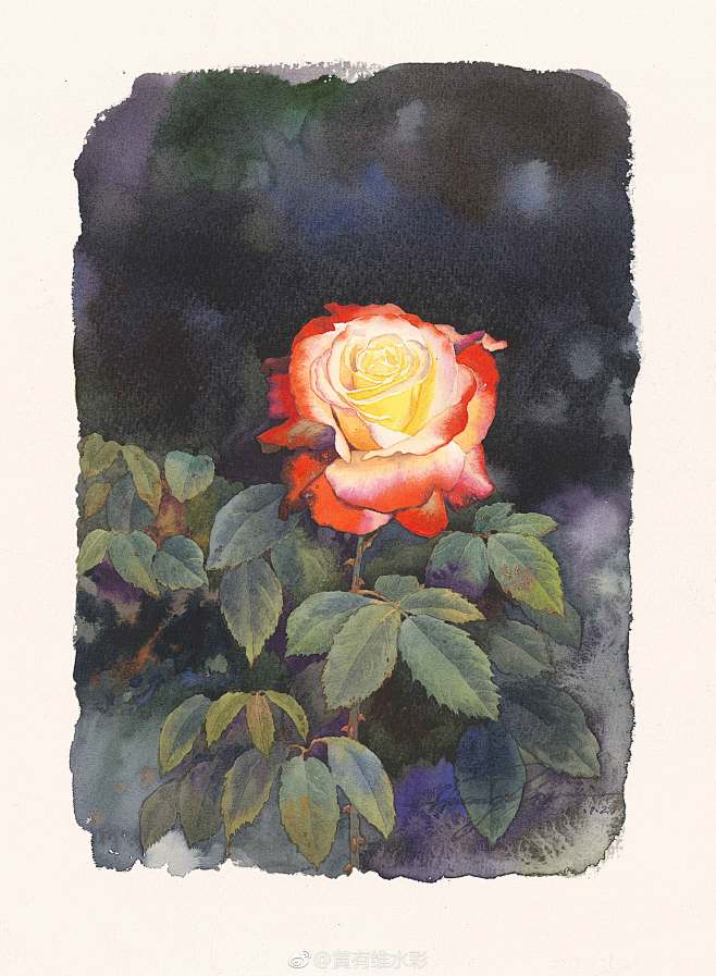 画家 黄有维 花卉水彩/水彩