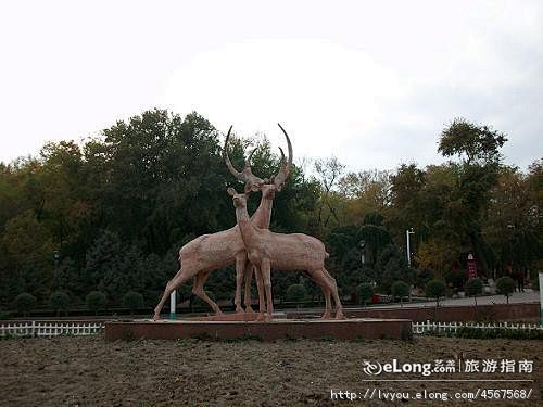 乌鲁木齐标志——红山, summer旅游...