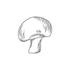 简约线条蔬菜设计素材