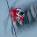 培胜