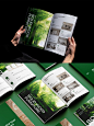 画册设计 高端绿色系极简风画册设计 - 小红书