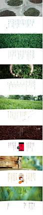 日本网站设计-瑞芳園　｜　岐阜県瑞浪市。昔ながらの有機農法でつくる旨いお茶。
