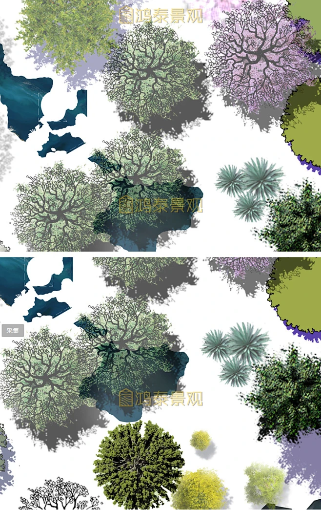 建筑景观高端竞赛风精选彩色平面图植物PSD素材源文件彩平ps素材-花瓣网