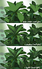 6d637cb31598fb4af77b35a0482b718c.jpg (734×1200)