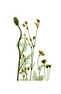 280e45f9e0f96576d0fc5db2675927703db645c04a3eb-x53jce_fw1200