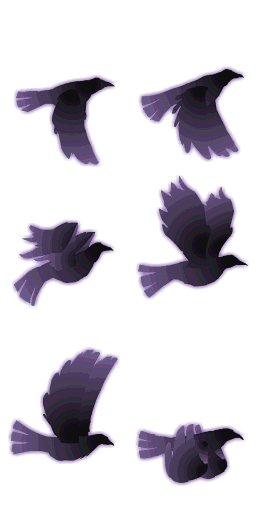 seq_544_scl 副本