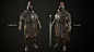 Elliot Davis - House Leo Armors