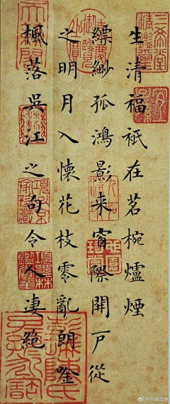 東腻酱采集到练字 字帖