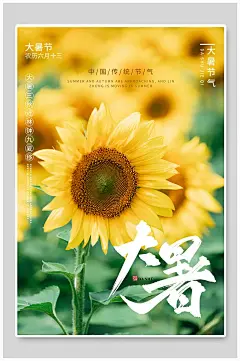 夏季葵花背景大暑二十四节气海报传统节气海报