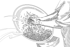 鱼多多hlu采集到chaye