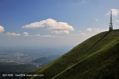 电视观看我们
television watching over us