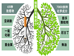 凝---采集到吸烟有害