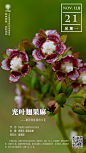 中国科学院西双版纳热带植物园