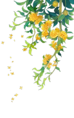 沫殇花開采集到月亮