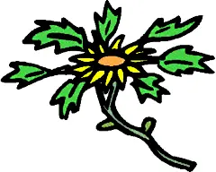 手绘绿叶中间的橙色花蕊的黄色花朵
