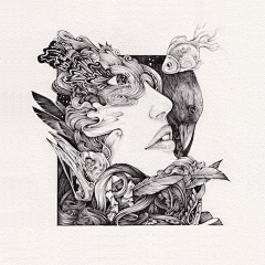 阿莱福的夜采集到创意插画