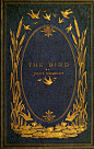 'The Bird' by Jules Michelet. T. Nelson & Sons; London, 1869: 