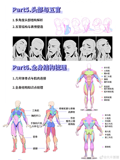夏天不吃雪糕采集到姿势