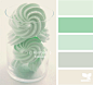 minted tones