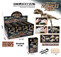 MKN673086 Dinosaur excavation game[20 in 1/Chinese] 中文展示盒20盒恐龙考古 MKTOYS,美佳玩具 品类齐全的中国玩具出口商