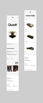 luxury Website Web Design  branding  UI ux Responsive minimal