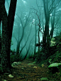 Into the Mystic, Sintra, Portugal