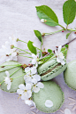 Pistachio Macaroons 