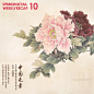 Weekly Recap » 互动中国 @DamnDigital