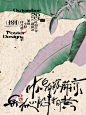 随手拍海报设计系列NO.8-2