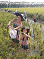 摸鱼、抓泥鳅、流水席……本周末，这个地方统统免费！ : 摸鱼、抓泥鳅、流水席……本周末，这个地方统统免费！