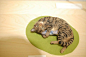 日本羊毛毡猫公仔(每天学点14.11.20）