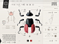 Insect Definer on Behance http://designart.zcool.com.cn/